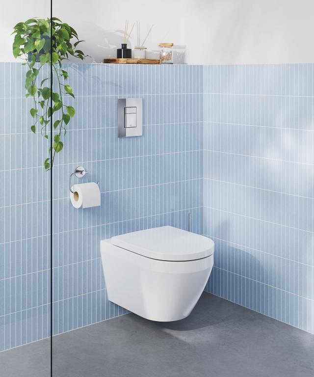 set wc con sedile e coperchio - sospeso